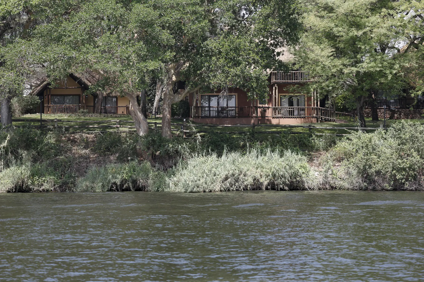 Chalets among the trees on the riverbank, seen from the Chobe River